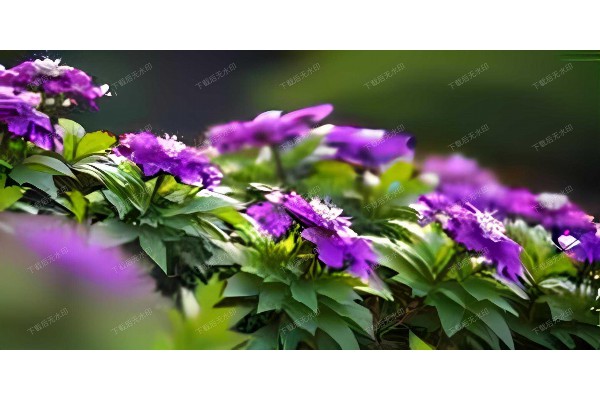 桑拿房里藏风情，杭州美女体验养生新时尚！